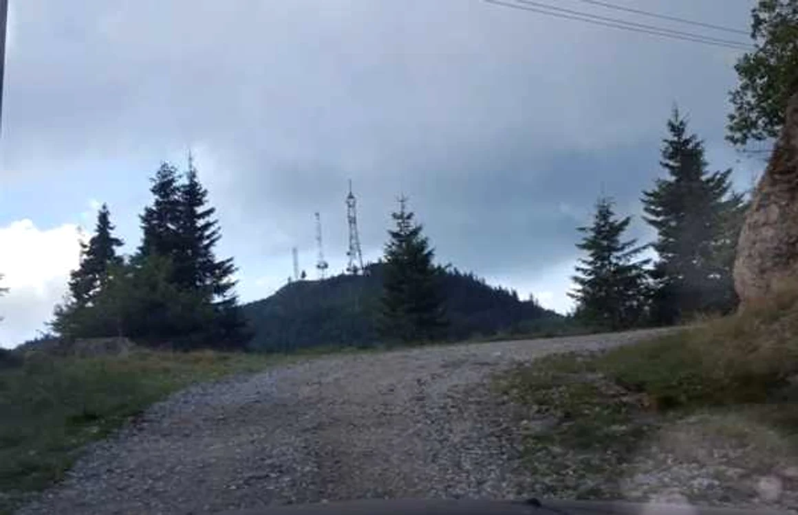 Drumul către Vârful Cozia - spre cabană şi Releu - Vâlcea; Foto: Adevărul