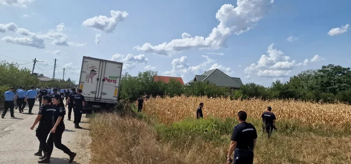Zeci de jandarmi „perie” câmpurile din Crevedia, în urma exploziei. FOTO C.S