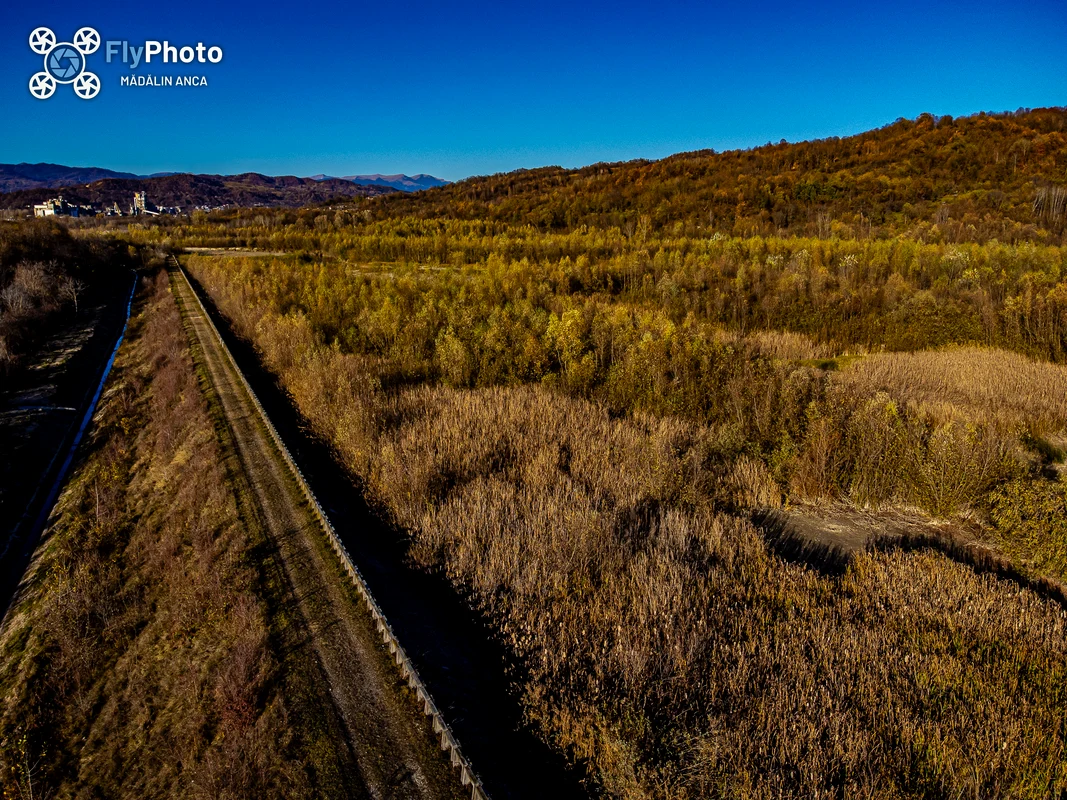 Delta dintre dealuri. FOTO Mădălin Anca - Pucioasa