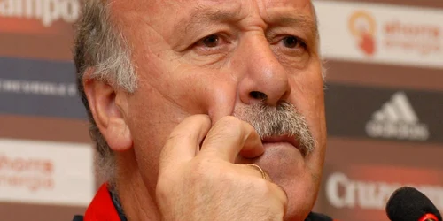 Vicente del Bosque