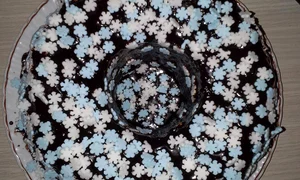 CLIIMA20140323 0056 1 jpeg