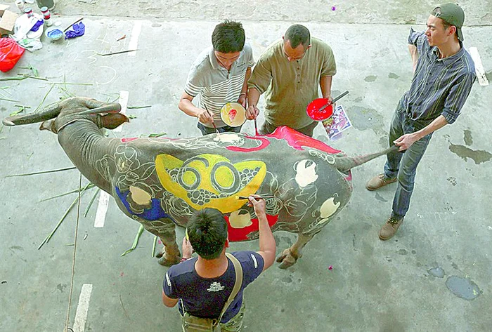 Bivoliţa Yiangche a fost desemnată  câştigătoarea competiţiei (Fotografii: Reuters)