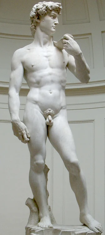 David Michelangelo 2 jpg jpeg