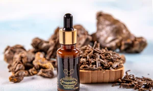 propolis jpg