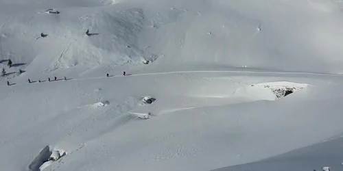 61ee97755163ec42711731f3 jpg