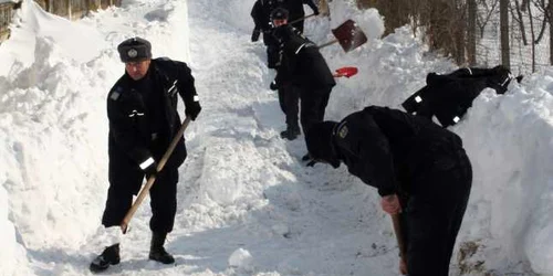 Jandarmii au dat o mână de ajutor în localităţile afectate