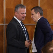 Adrian Veștea și Sorin Grindeanu FOTOINQUAM / GEORGE CALIN
