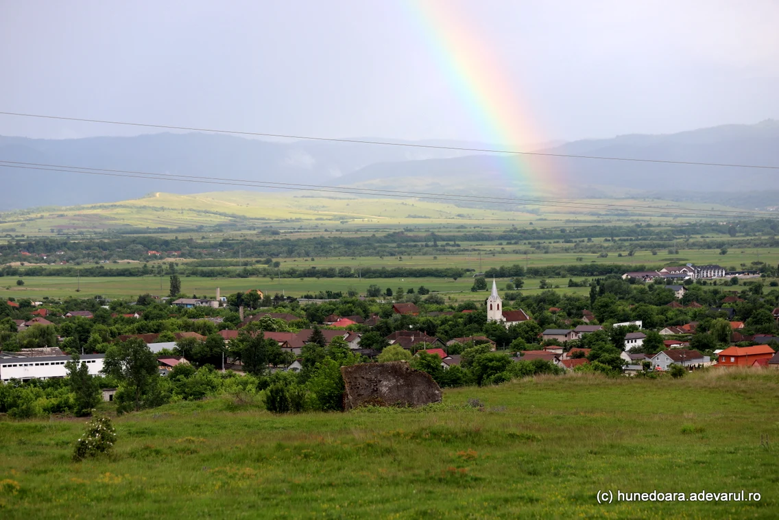 Aici a fost combinatul Victoria Călan Foto Daniel Guță ADEVĂRUL (4) JPG