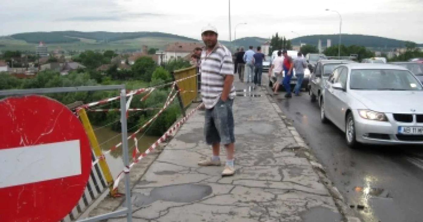 Târgu Mureş: Doi mistreţi au provocat daune materiale în valoare de 50.000 de lei