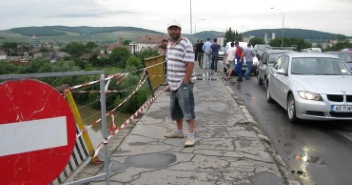 Târgu Mureş: Doi mistreţi au provocat daune materiale în valoare de 50.000 de lei