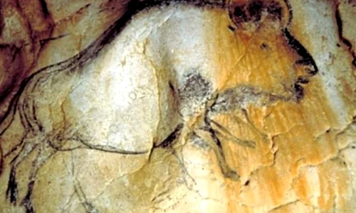 De ce picturile rupestre reprezintă animale cu opt picioare? Doi specialişti dau o explicaţie absolut surprinzătoare jpeg