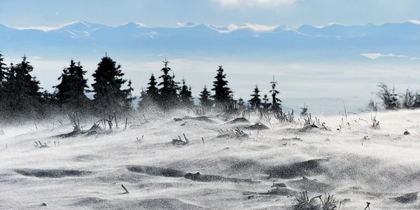 vant puternic iarna meteo foto pixabay Jerzy Gorecki