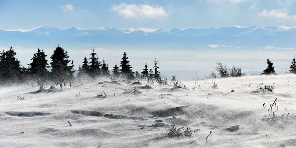 vant puternic iarna meteo foto pixabay Jerzy Gorecki