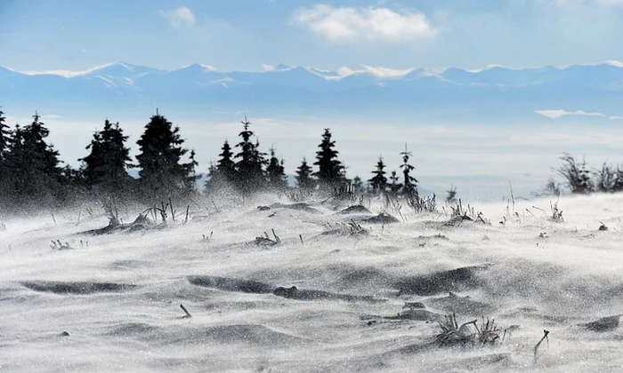 Zonele în care au anunțat meteorologii vânt puternic/FOTO: Pixabay