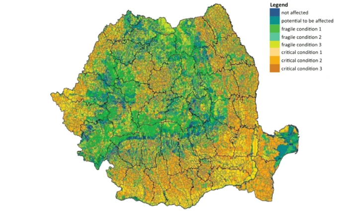 schimbari climatice