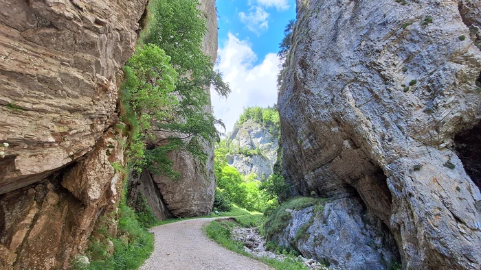 Cheile Zărneștilor, o minune a naturii FOTO Anda Radu