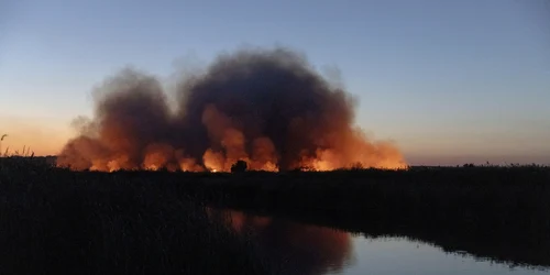 Pokrovsk FOTO Profimedia 