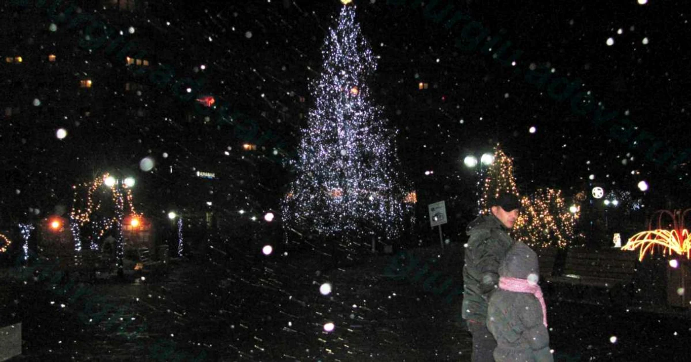 Prima ninsoare din acest an a căzut pe 9 decembrie / FOTO Bogdan Vladu