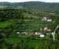 Pădurea de castani, Ghelari Foto Daniel Guță (19) JPG