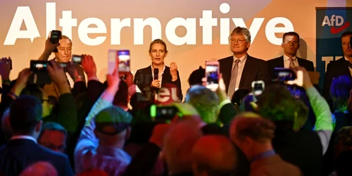 AfD in seara alegerilor EPA