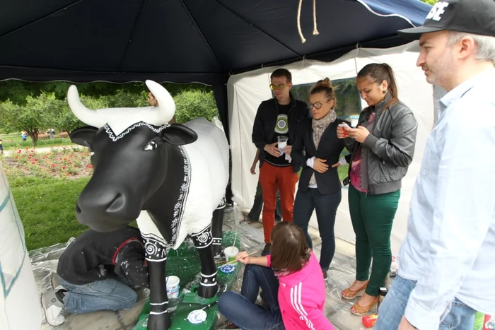 festivalul vacutelor