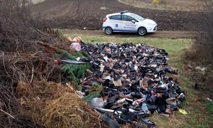 634963138 1366173105553351 365720563303733912 n jpg