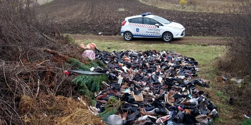 634963138 1366173105553351 365720563303733912 n jpg