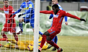 harlem gnohere fotbal fcsb liga1a jpeg