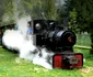 Mocanita, Covasna, foto planiada ro png