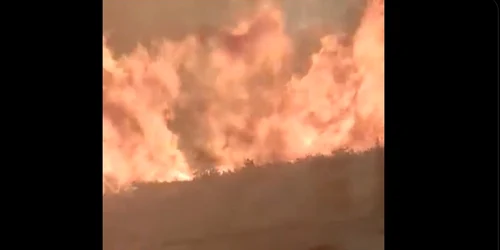 un tren din Spania a fost prins în incendiu / Foto captura video / Twitter