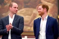 Prințul William, Prințul Harry  sursa   Shutterstock jpg