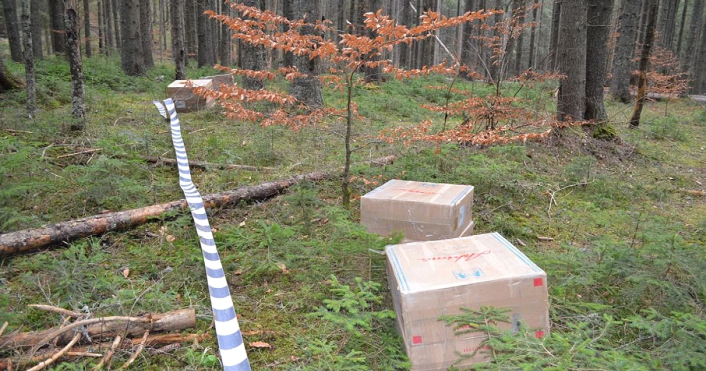 Contrabandiştii au fugit şi au lăsat ţigările în pădure FOTO ITPF Sighetu Marmaţiei