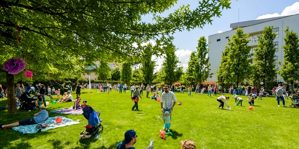 IULIUS spatiu verde 2 jpg