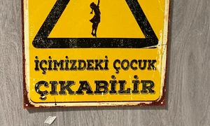 p 24 1 M  Plesu jpg