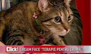 Motanul Rambo apare şi el în filmul în care joacă Claudia Pavel jpeg