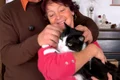 motan filou pierdut captura video jpg