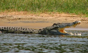 Supravieţuirea într o lume post adevăr jpeg