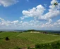 Drumul Vinului FOTO Visit Timiș