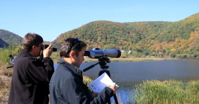 Cluj: VIDEO FOTO Cu ochii după păsări la Euro Birdwatch 2009