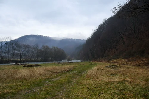 În Bihor se pregătesc campinguri inteligente pentru iubitorii de natura FOTO: CJ Bihor