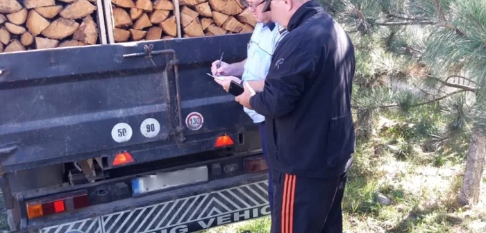Poliţia verifică toate transporturile de material lemnos FOTO IPJ Ialomiţa