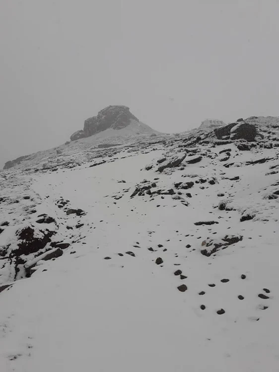 Ninge în Bucegi la jumătatea lunii iunie FOTO Ciprian Aldea/Salvamont