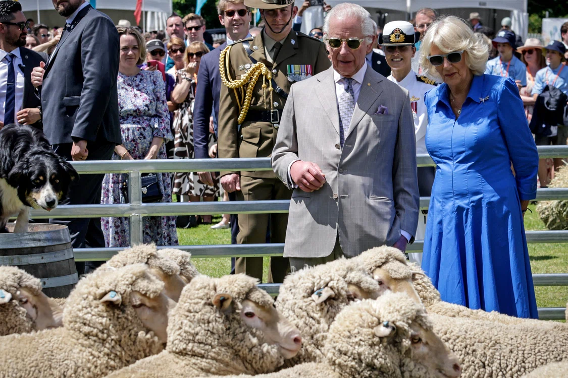 charles camilla oi profimedia jpg