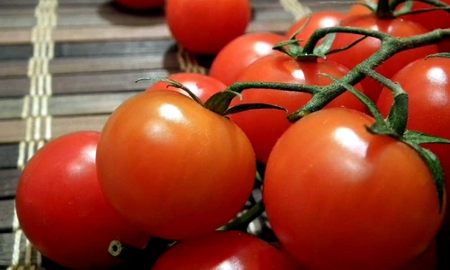 1 81351 original jpg jpeg