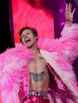 Harry Styles jpeg