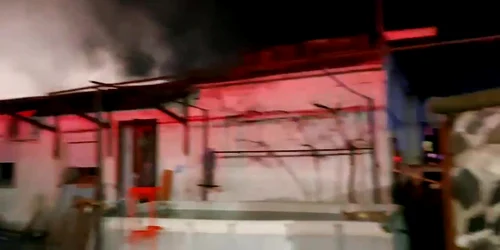 5fb8db7f5163ec427119434e jpg