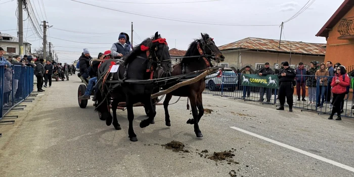 pastele cailor 2019