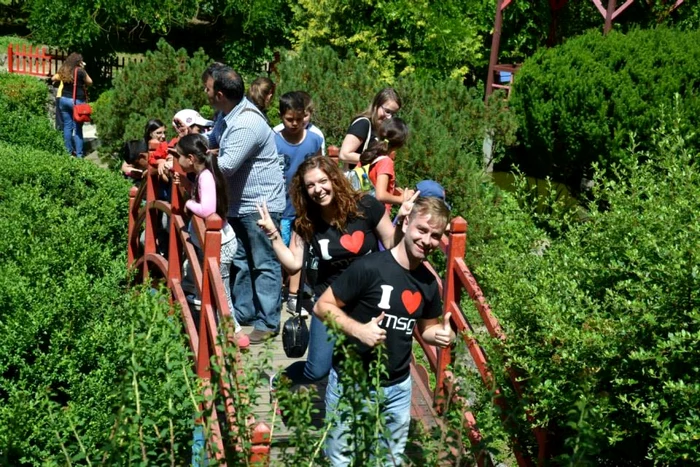 excursie cluj foto