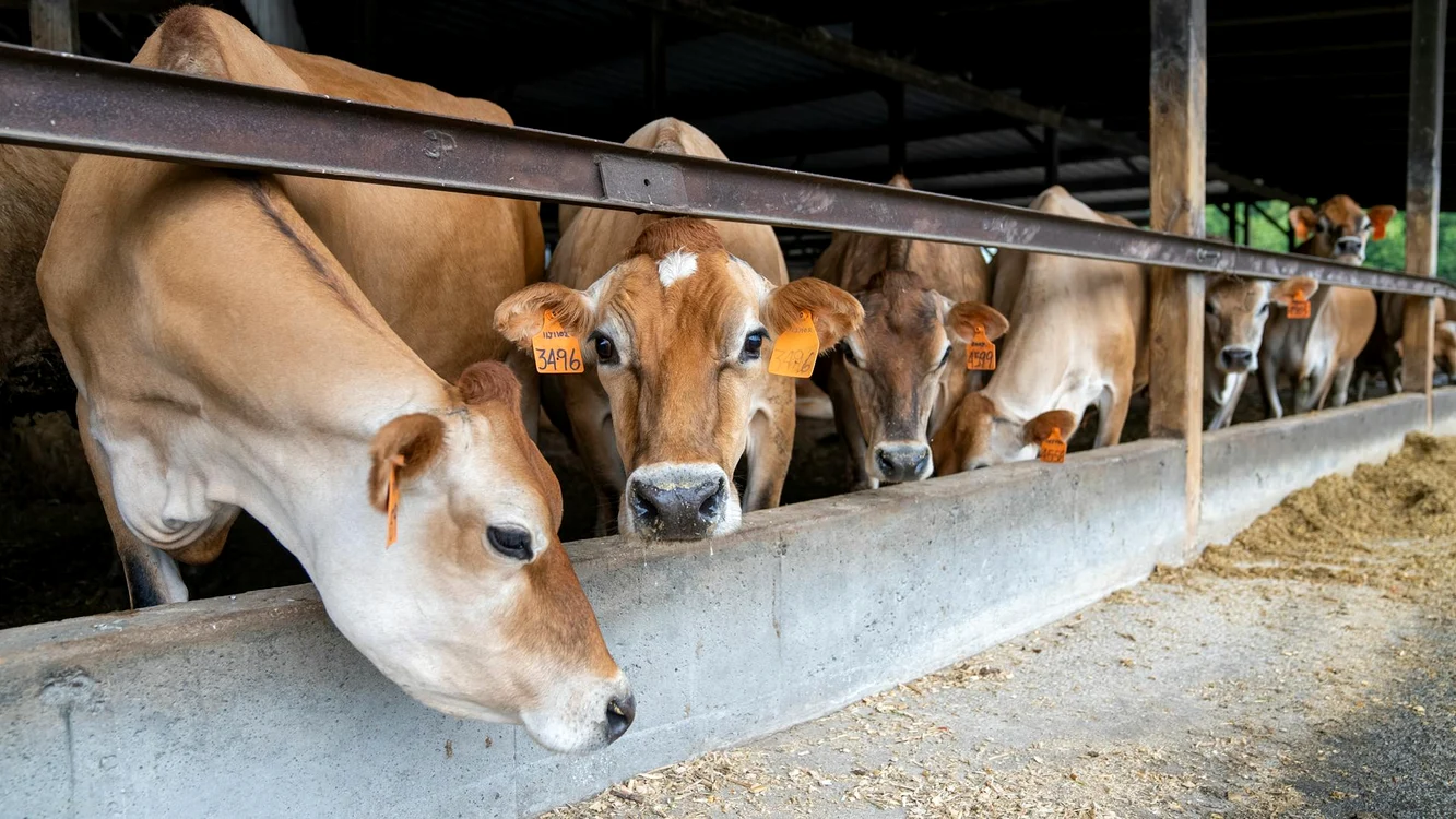 ferme 2025 jpg