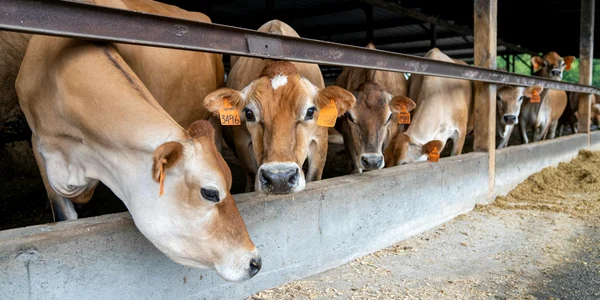 ferme 2025 jpg